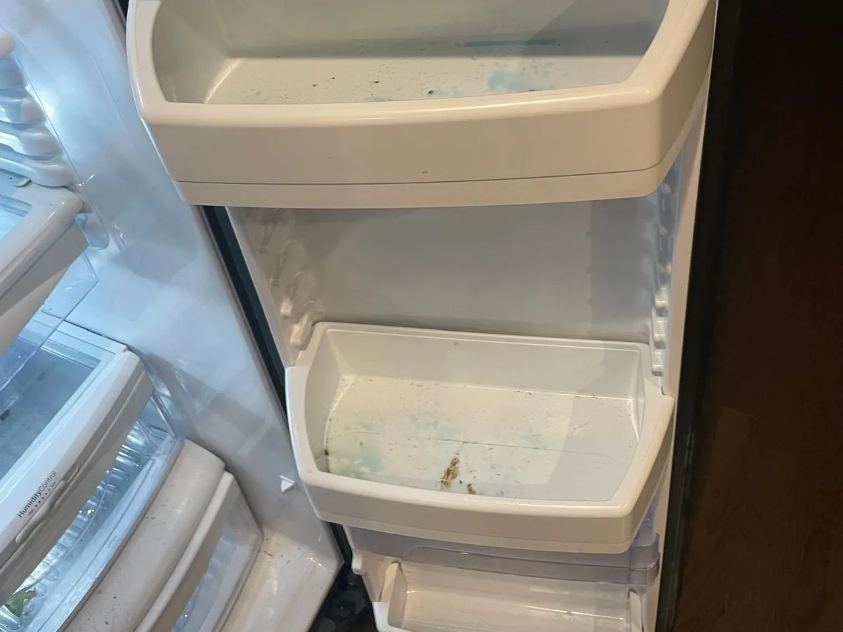 Before cleaning: Refrigerator